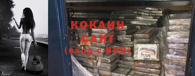 ссылка на мегу вход  наркотики  Костомукша  COCAIN Fish Scale 